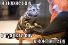 https://lolkot.ru/2011/11/13/v-kontakte-ru/