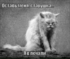 https://lolkot.ru/2011/08/08/v-pechali/