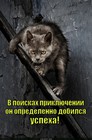 https://lolkot.ru/2012/08/02/v-poiskah-priklyucheniy/