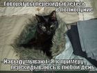 https://lolkot.ru/2012/02/25/v-polnoluniye/