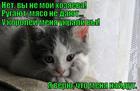 https://lolkot.ru/2015/07/27/v-roddoma-podmenili/