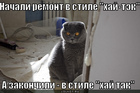 https://lolkot.ru/2012/04/11/v-stile-hay-tak/