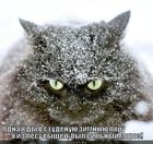 https://lolkot.ru/2011/12/01/v-studenuyu-zimnyuyu-poru/
