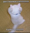 https://lolkot.ru/2010/10/12/v-ukrytiye/