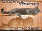 https://lolkot.ru/2011/11/13/vagon-ne-trogayetsya/