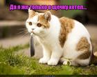 https://lolkot.ru/2017/03/01/vakuumnaya-moschnost/