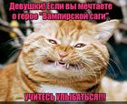 https://lolkot.ru/2015/10/21/vampirskiye-mechty/