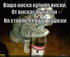 https://lolkot.ru/2012/10/27/vasha-kiska-kupila-viski/