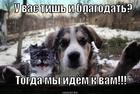 https://lolkot.ru/2013/03/31/vashe-schaste-k-vam-stuchitsya/