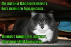 https://lolkot.ru/2015/04/07/vasya-optimist/