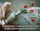 https://lolkot.ru/2013/03/07/vazochku-v-podarochek/