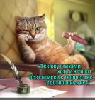 https://lolkot.ru/2012/11/24/vdohnovenya-net/