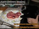 https://lolkot.ru/2013/10/10/vegetarianets-do-mozga-i-kostey/