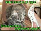 https://lolkot.ru/2012/11/29/velika-figura/
