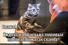 https://lolkot.ru/2011/03/19/velikiy-myasokombinator/