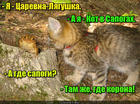 https://lolkot.ru/2016/07/11/velikiye-skazochniki/