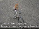 https://lolkot.ru/2011/04/24/velosipeda-ne-bylo/