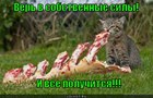 https://lolkot.ru/2012/05/29/ver-v-sobstvennyye-sily/