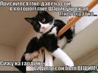 https://lolkot.ru/2012/10/15/veschiy-son/