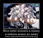 https://lolkot.ru/2012/10/05/vesenniy-pohod/