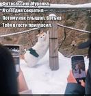 https://lolkot.ru/2025/03/07/veskaya-prichina/