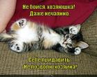 https://lolkot.ru/2015/05/27/vesomaya-nezhnost/