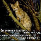 https://lolkot.ru/2012/10/02/vetochka/