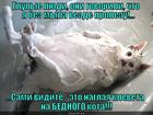 https://lolkot.ru/2012/12/27/vezde-prolezu/