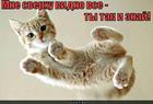 https://lolkot.ru/2012/09/03/vidno-vse/
