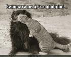 https://lolkot.ru/2012/10/22/vinovata-li-ya/