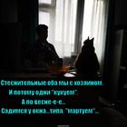 https://lolkot.ru/2015/05/29/virtualnyy-mart/