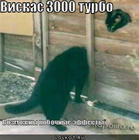 https://lolkot.ru/2010/12/28/viskas-3000-turbo/