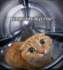 https://lolkot.ru/2011/01/28/vklyuchay-karusel/