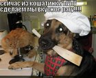 https://lolkot.ru/2010/10/03/vkusnoye-ragu/