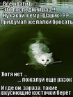 https://lolkot.ru/2012/03/19/vkusnyuschiye-kostochki/