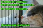 https://lolkot.ru/2016/03/11/vnosukovyryalka/