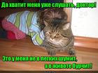 https://lolkot.ru/2016/11/22/vnutri-kota/