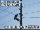 https://lolkot.ru/2012/02/13/vo-tme-nochnoy/