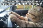 https://lolkot.ru/2013/03/11/vodiloy-byt/