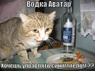 https://lolkot.ru/2012/03/14/vodka-avatar/