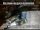 https://lolkot.ru/2012/10/15/vodka-palyonaya/