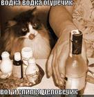 https://lolkot.ru/2013/01/25/vodka-vodka-ogurechik/
