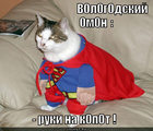 https://lolkot.ru/2011/10/07/vologodskiy-omon/