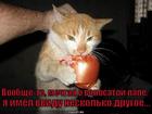 https://lolkot.ru/2010/07/06/volosataya-lapa/