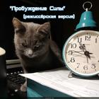 https://lolkot.ru/2024/05/06/voshodyaschaya-zvezda/