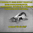 https://lolkot.ru/2012/08/09/vospitaniye-3/