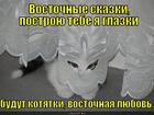 https://lolkot.ru/2013/08/15/vostochnyye-skazki/
