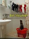 https://lolkot.ru/2010/10/15/vot-eto-ulov/