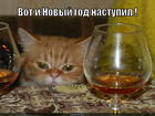 https://lolkot.ru/2015/09/26/vot-i-novyy-god/