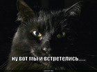https://lolkot.ru/2010/07/31/vot-i-vstretilis/
